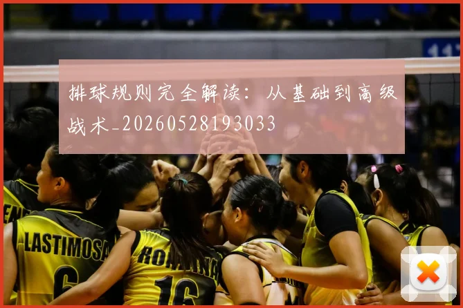 排球规则完全解读：从基础到高级战术_20260528193033