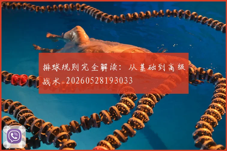 排球规则完全解读:从基础到高级战术_20260528193033
