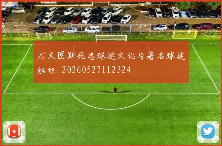 尤文图斯死忠球迷文化与著名球迷组织_20260527112324