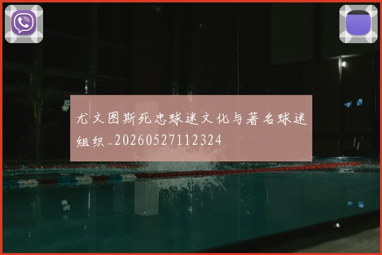 尤文图斯死忠球迷文化与著名球迷组织_20260527112324